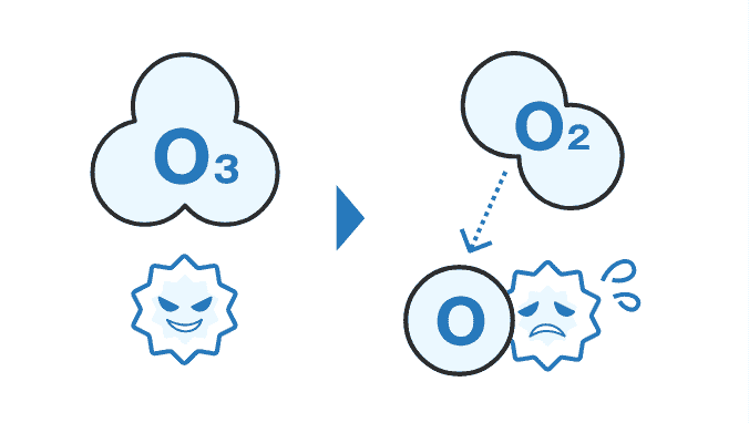 オゾンで菌やウイルスを不活性化